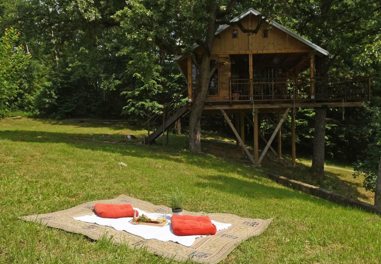 Treehouse Resnice -Mreznica Barilovic Exterior photo